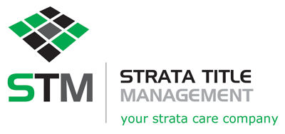 STM logo